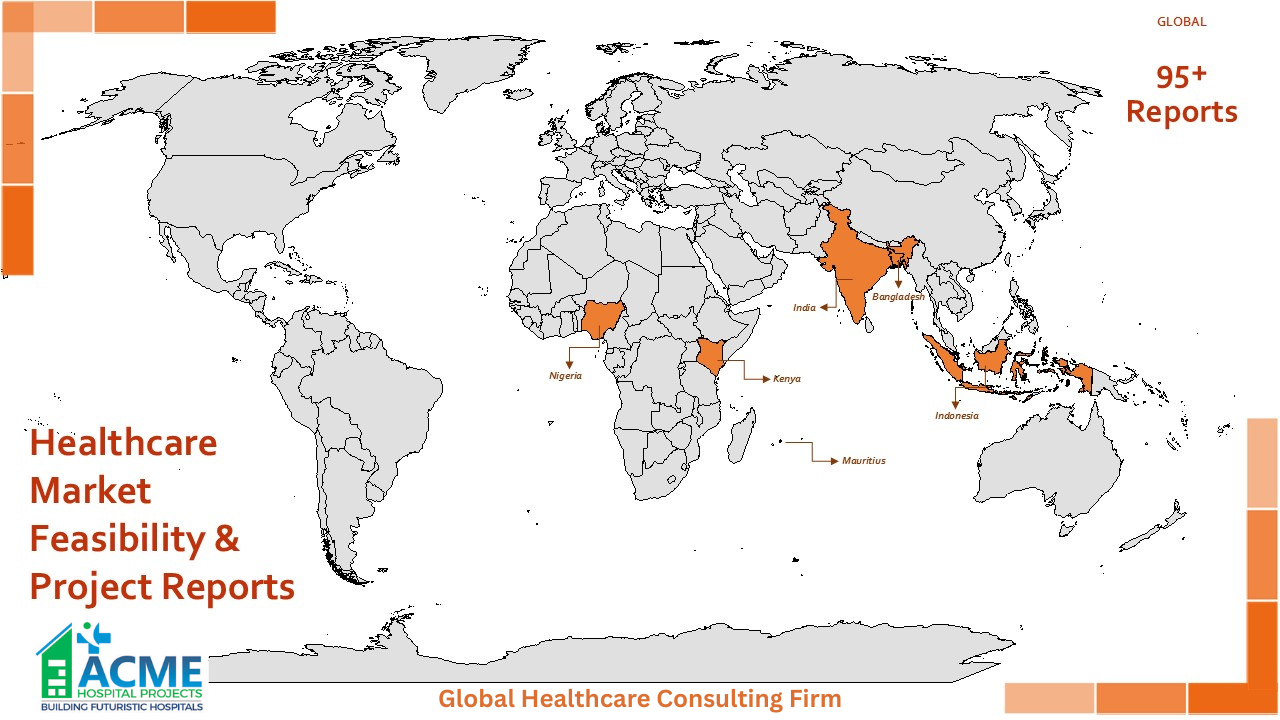 Global Hospital Market Feasibility